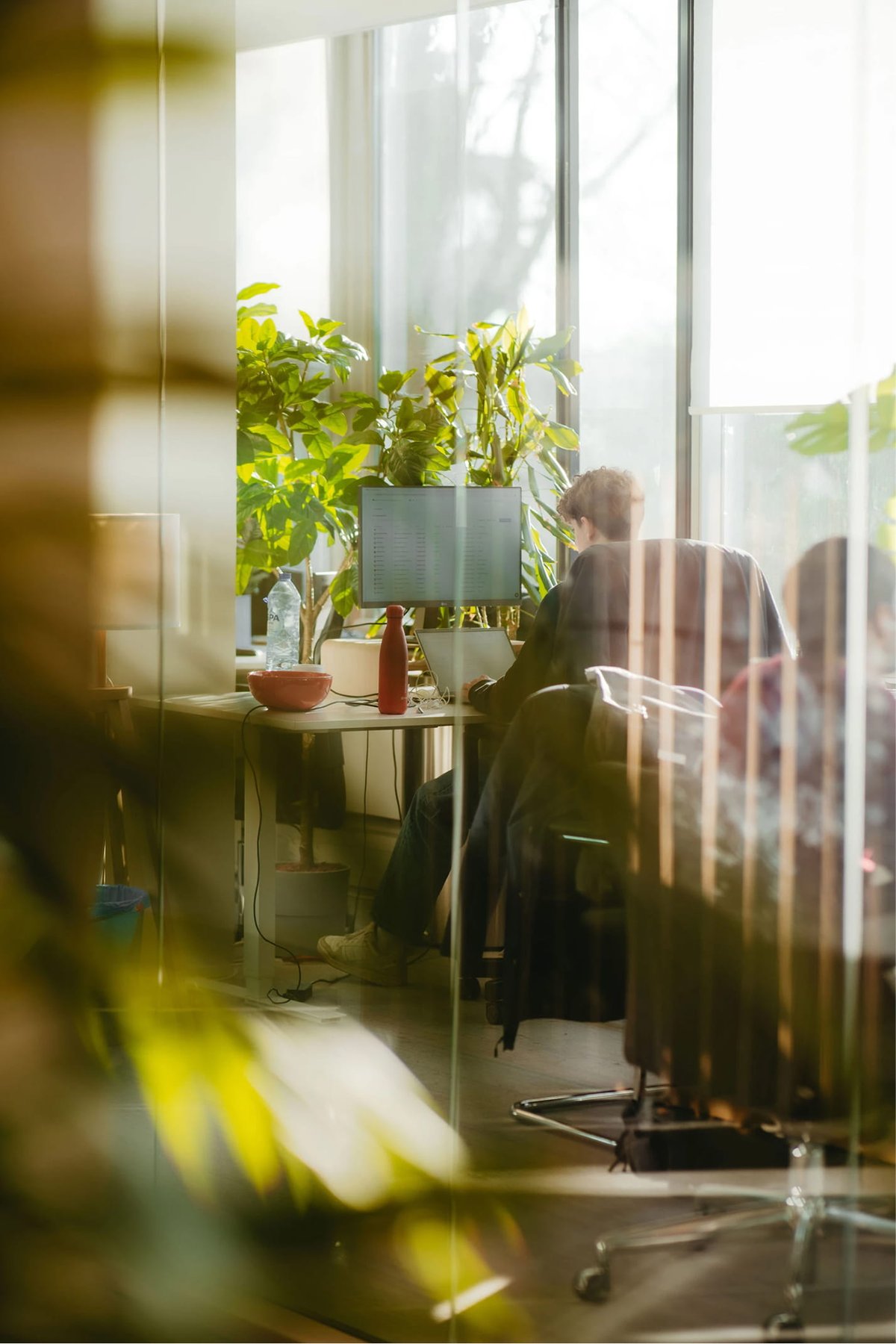 A colleague at work by a sunny window in the Lleverage office in Amsterdam